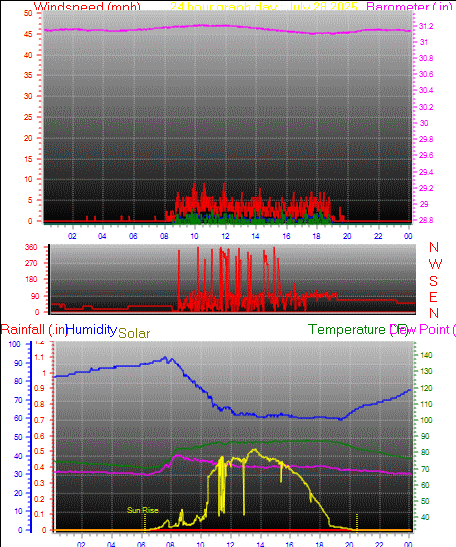 24 Hour Graph for Day 28