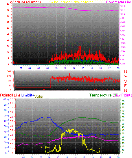 24 Hour Graph for Day 29