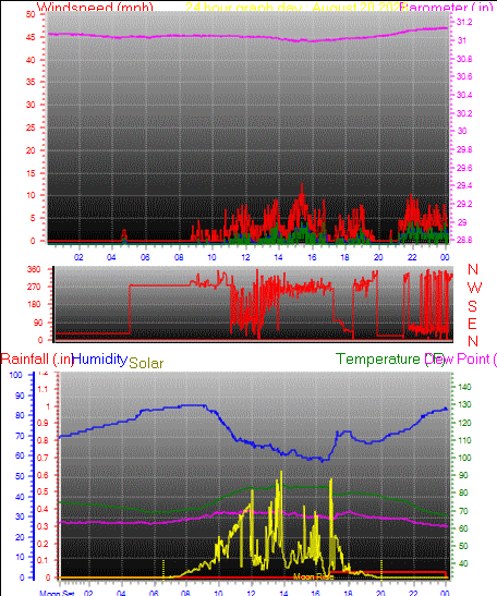 24 Hour Graph for Day 20