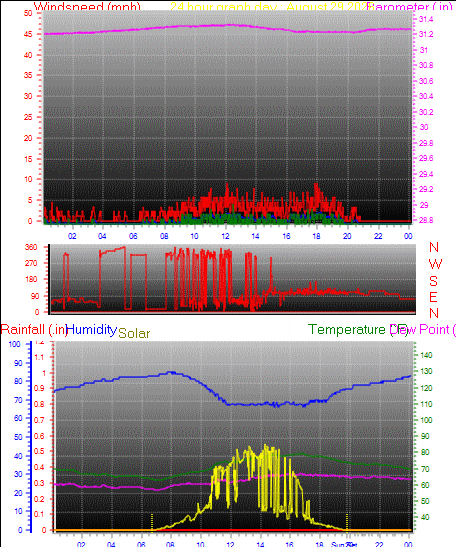 24 Hour Graph for Day 29