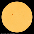 SDO/HMI Continuum Image of the Sun