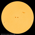 SDO/HMI Continuum Image of the Sun