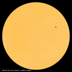 SDO/HMI Continuum Image of the Sun